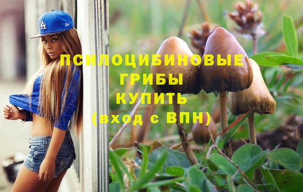 молекула духа Аркадак