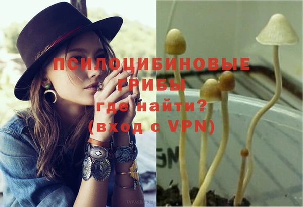 молекула духа Аркадак