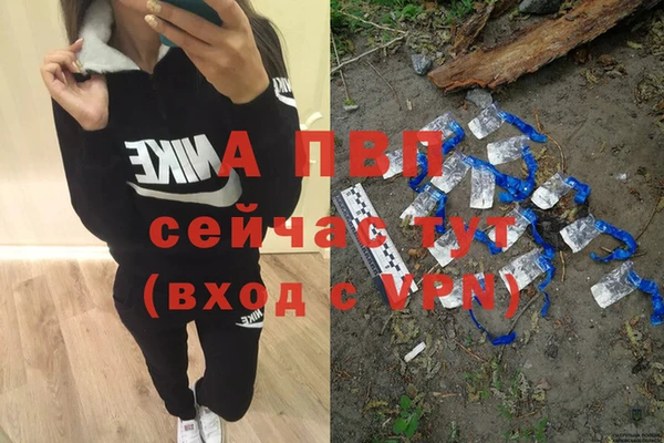 PSILOCYBIN Армянск