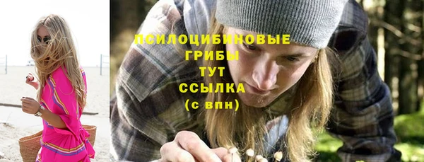 PSILOCYBIN Армянск